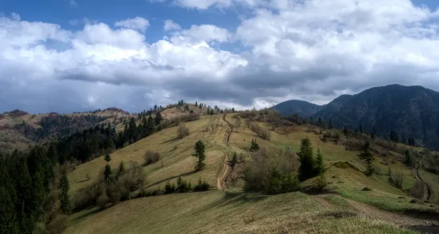 Panorama des montagnes des Carpates en Ukraine - prairies alpines et for&ecirc;ts de sapins