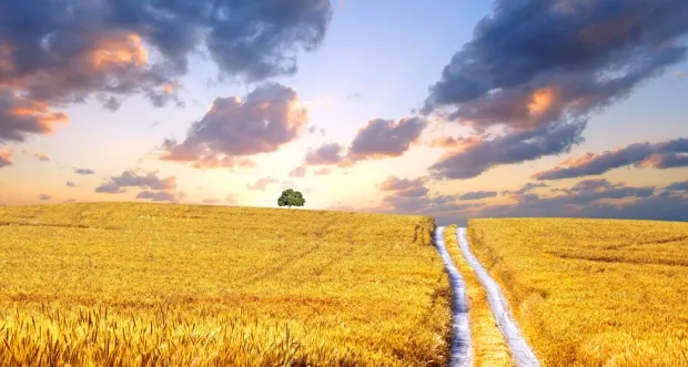 Panorama des paysages vari&eacute;s d'Ukraine : steppes, for&ecirc;ts et montagnes